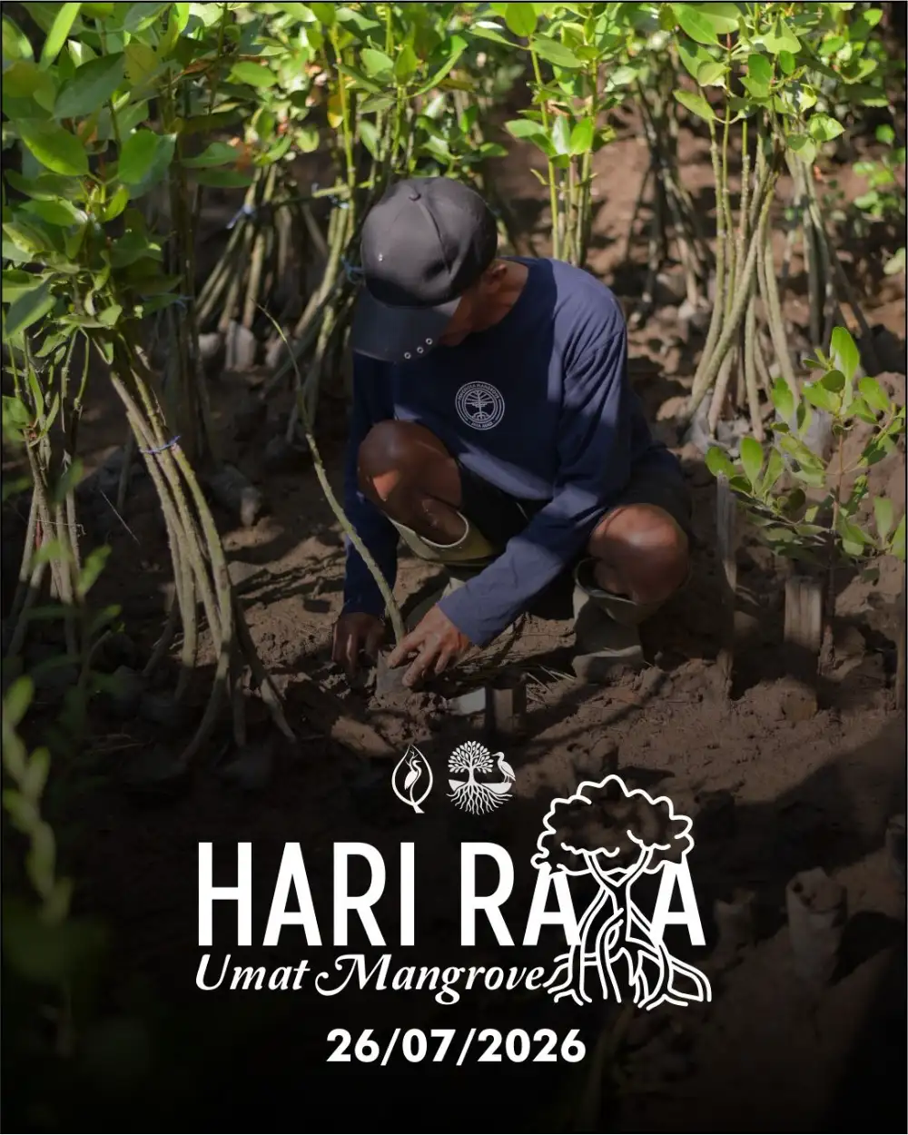 HARI RAYA UMAT MANGROVE