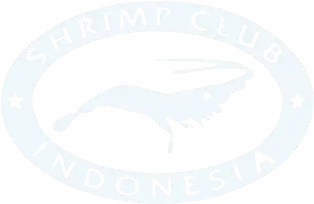 golf udang 