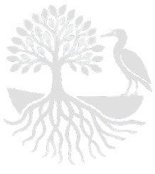 Logo Ark of Mangrove